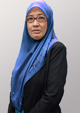 Puan Nor Haniza Bt Junid