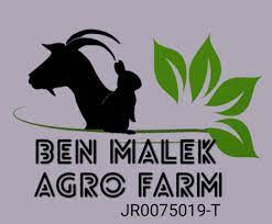 BEN MALEK ARGO FARM SDN BHD